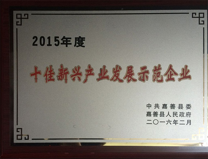 2015年度(dù)十佳新(xin)興産業(yè)發展示(shi)範企業(yè)