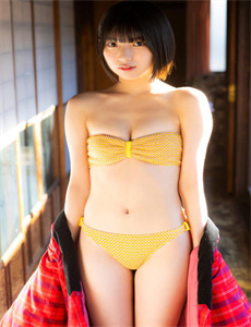 《灰狼》